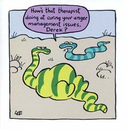 Anger Management Birthday Card