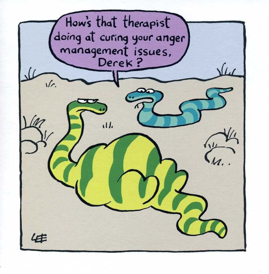 Anger Management Birthday Card