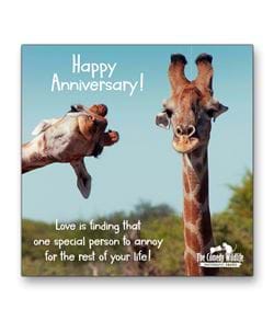 Anniversary 