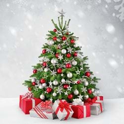Festive Tree - Personalised Christmas Card