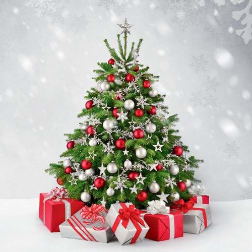 Festive Tree - Personalised Christmas Card