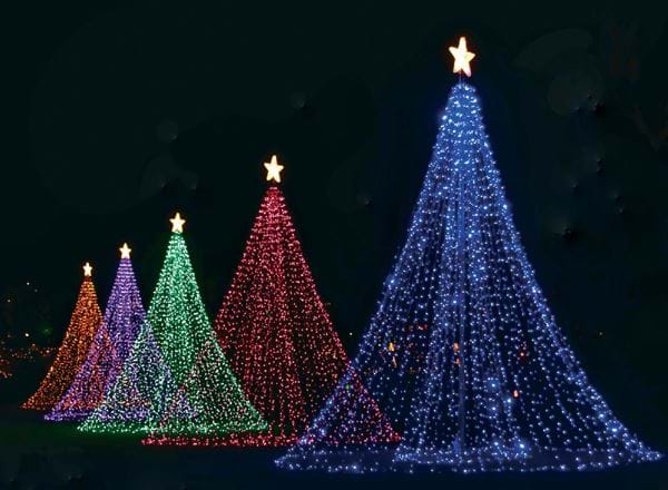 Coloured Trees - Personalised Christmas Card