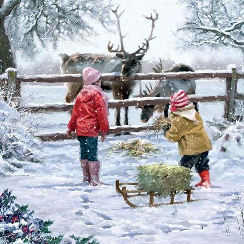 Feeding Reindeer - Personalised Christmas Card