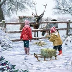 Feeding Reindeer - Personalised Christmas Card