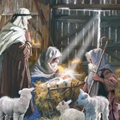 Shepherd Boy - Personalised Christmas Card