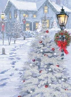 Festive Garden - Personalised Christmas Card