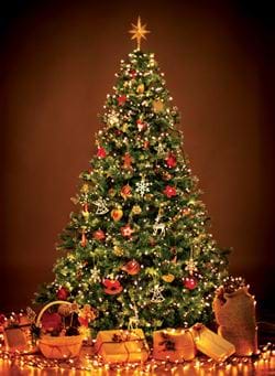 Festive - Personalised Christmas Card