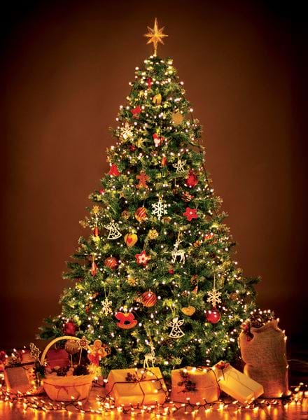 Festive - Personalised Christmas Card