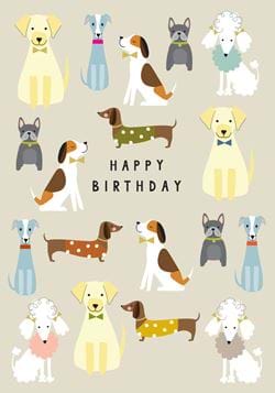 Dogs Birthday Card