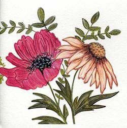 Pink Flowers Greeting Card