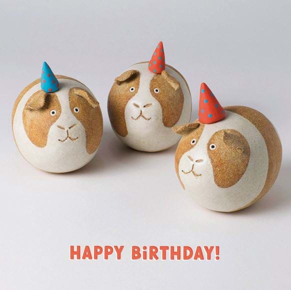 Guinea Pig Party Birthday Card