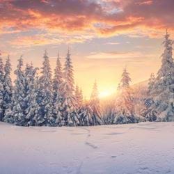 Winter Sunrise - Personalised Christmas Card