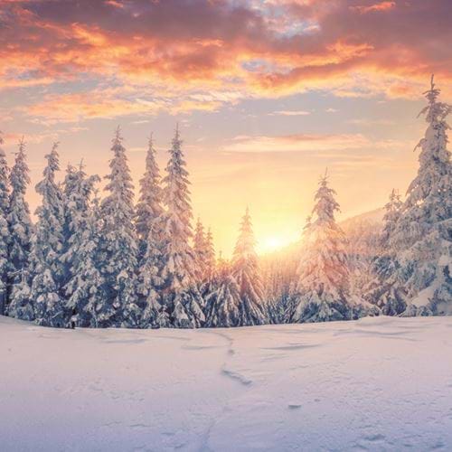 Winter Sunrise - Personalised Christmas Card