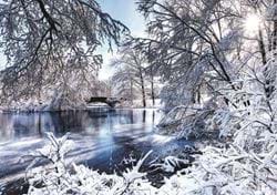 Winter Wonderland - Personalised Christmas Card
