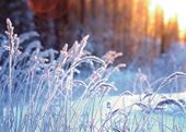 A Cold and Frosty Morning - Personalised Christmas Card