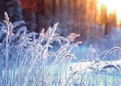 A Cold and Frosty Morning - Personalised Christmas Card