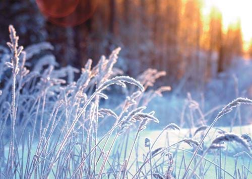 A Cold and Frosty Morning - Personalised Christmas Card