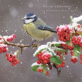 Blue Tit in Winter - Front Personalised Christmas Card