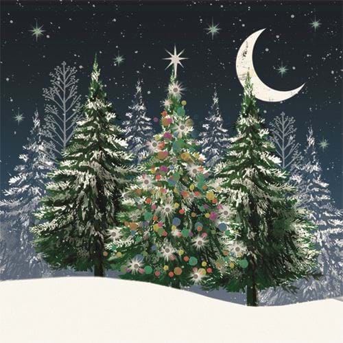 Colourful Fir Tree - Personalised Christmas Card