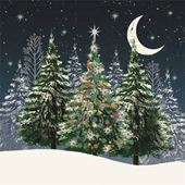Colourful Fir Tree - Personalised Christmas Card