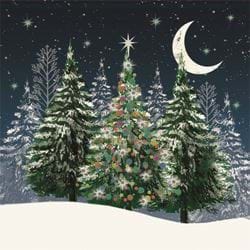 Colourful Fir Tree - Personalised Christmas Card