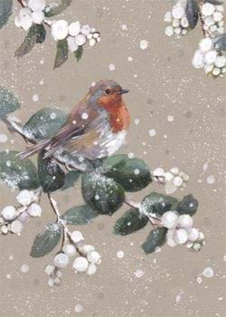 Festive Robin Personalised Christmas Card