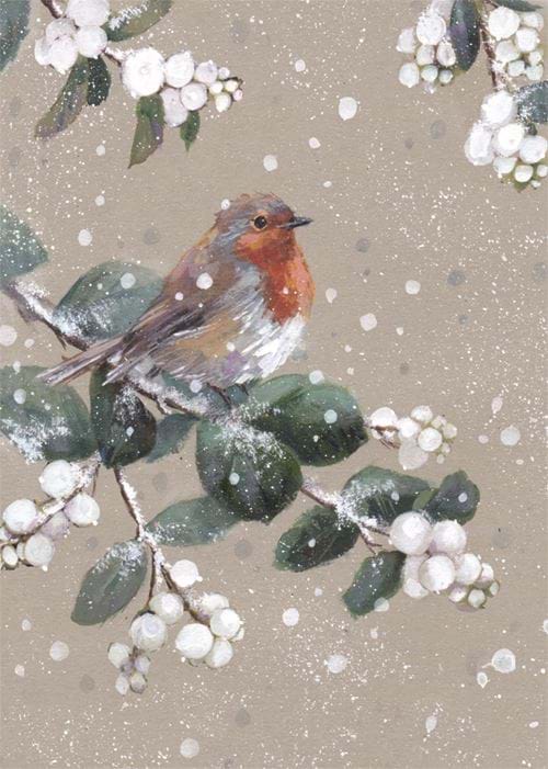 Festive Robin Personalised Christmas Card