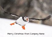 Flight of the Puffin - Front Personalised Christmas Card