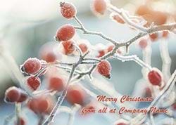 Frozen Berries - Front Personalised Christmas Card
