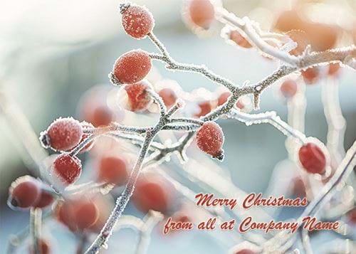 Frozen Berries - Front Personalised Christmas Card