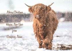 Highland Cattle on a Winter's Day - Front Personalised Christmas Card