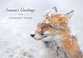 Merry Fox in the Snow - Front Personalised Christmas Card