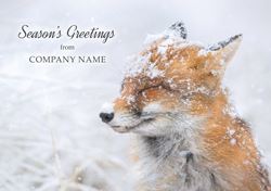 Merry Fox in the Snow - Front Personalised Christmas Card