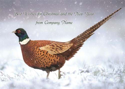 Pheasant in the Snow - Front Personalised Christmas Card