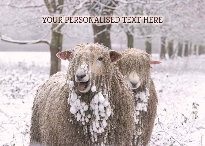 Playful Sheep - Front Personalised Christmas Card