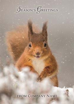 Playful Squirrel - Front Personalised Christmas Card
