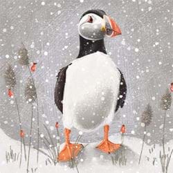 Puffin in the Snow - Personalised Christmas Card