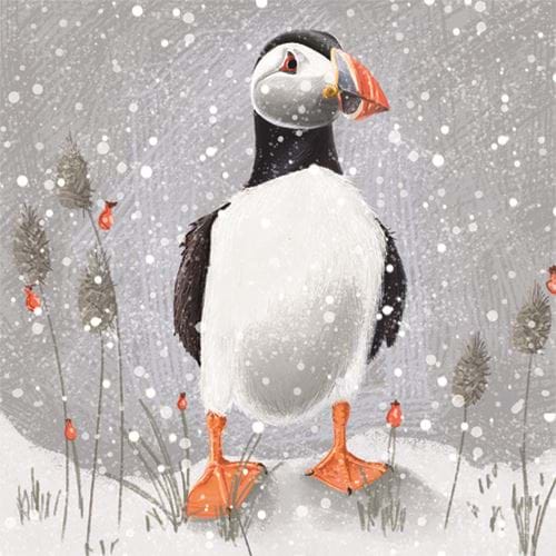 Puffin in the Snow - Personalised Christmas Card