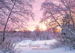 Sunset in the Forest - Front Personalised Christmas Card