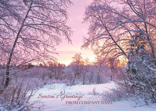Sunset in the Forest - Front Personalised Christmas Card