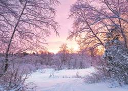 Sunset in the Forest - Personalised Christmas Card