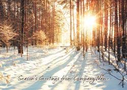 Through the Trees - Front Personalised Christmas Card
