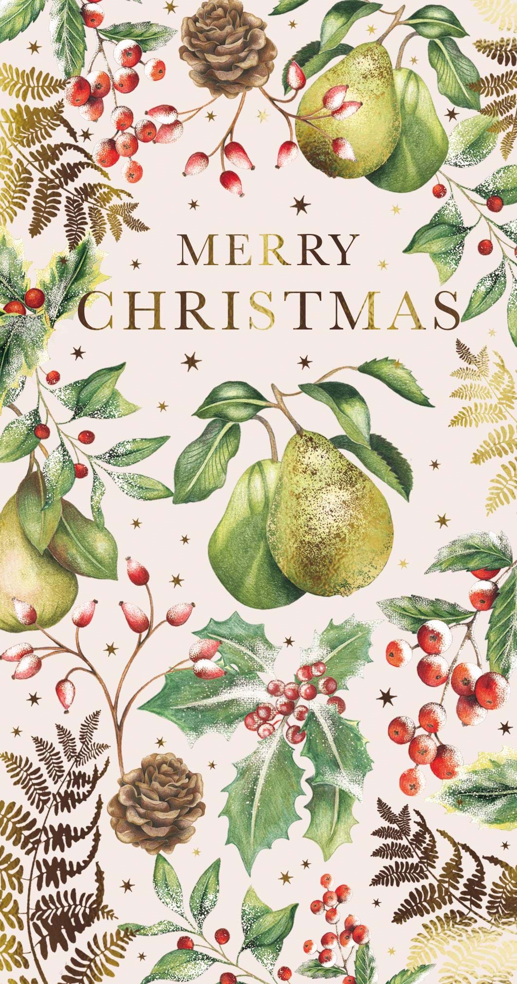 Festive pears Money Wallet