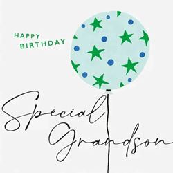 Special Grandson Birthday Card