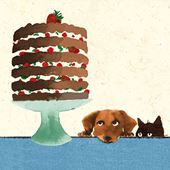 Longing Looks Greeting Card