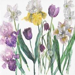 Springtime Sonata Greeting Card