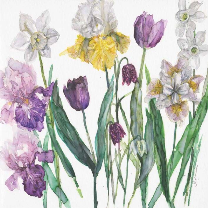 Springtime Sonata Greeting Card