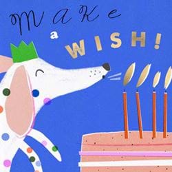 Make A Wish Birthday Card