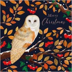 Owl Luxury Christmas Cards - Pack of 10