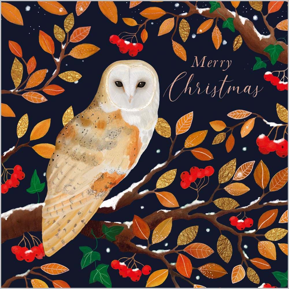 Owl Luxury Christmas Cards - Pack of 10